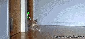 Mario Kart