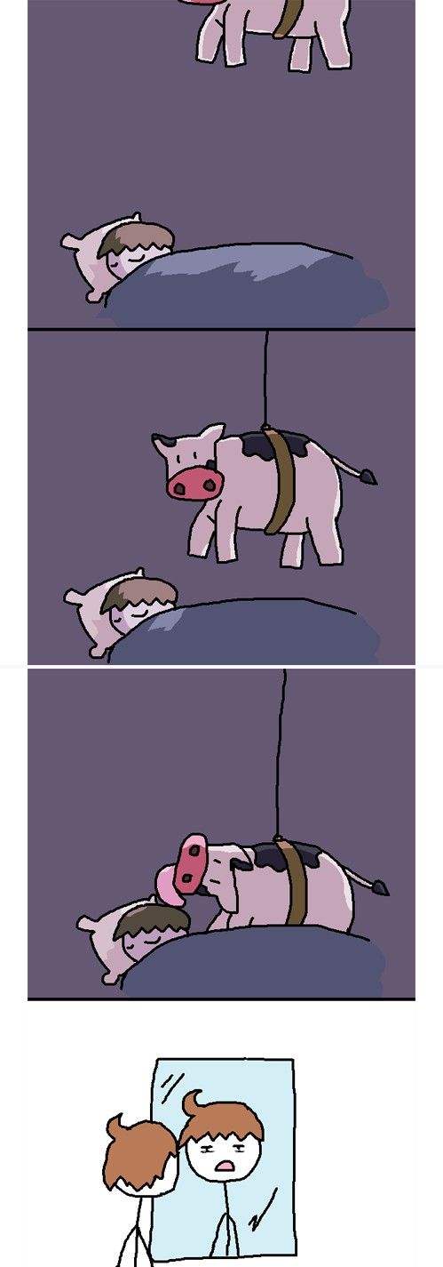 Vacas e seus mistérios