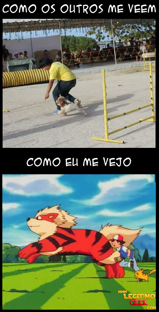 Treinando meu cachorro