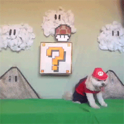 gif mario