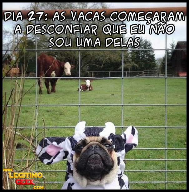 Desconfiança