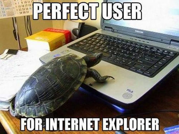 Usuário perfeito pro Internet Explorer