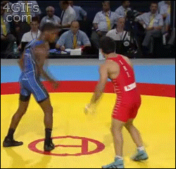 Wrestling-ninja-flip