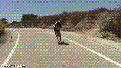 Cachorro de Patinete
