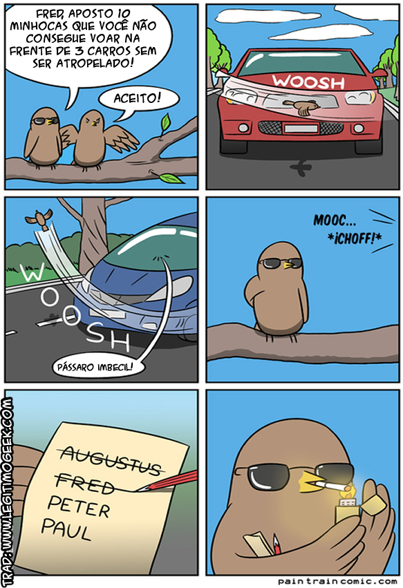 Não confie em pássaros