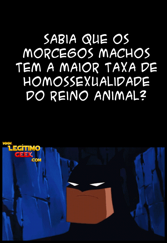 Morcegos Machos