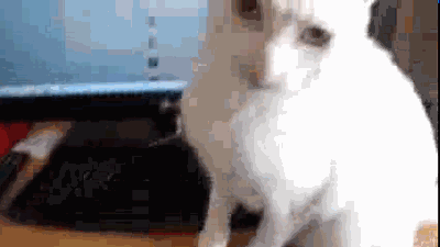 Quando você percebe que está usando demais o computador