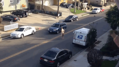 GTA na vida real (1)