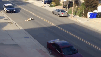 GTA na vida real (2)