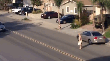 GTA na vida real (4)