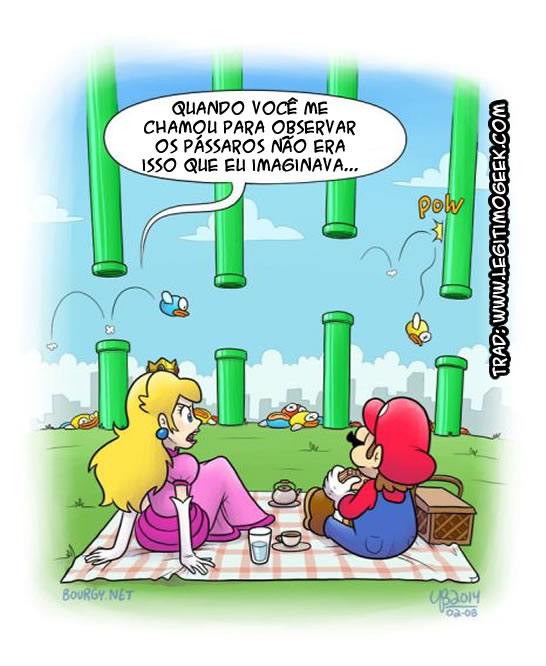 Observar pássaros