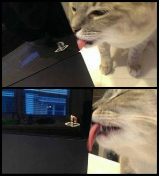 Minha reação ao comprar um PS4