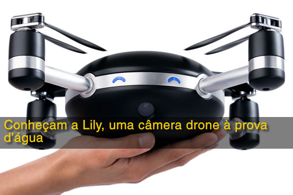 lily