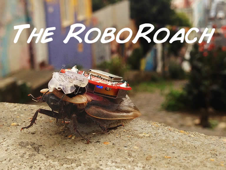 Aplicativo permite controlar barata pelo smartphone