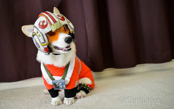 O cosplay mais fofinho que você já viu #2