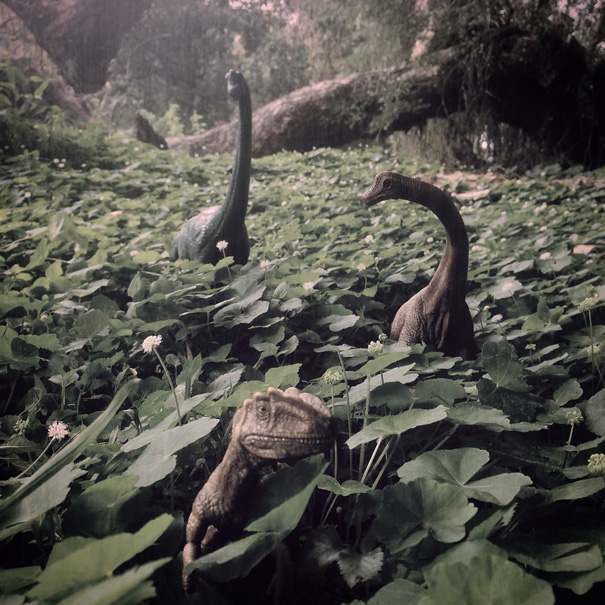 dinodinaseries (17)