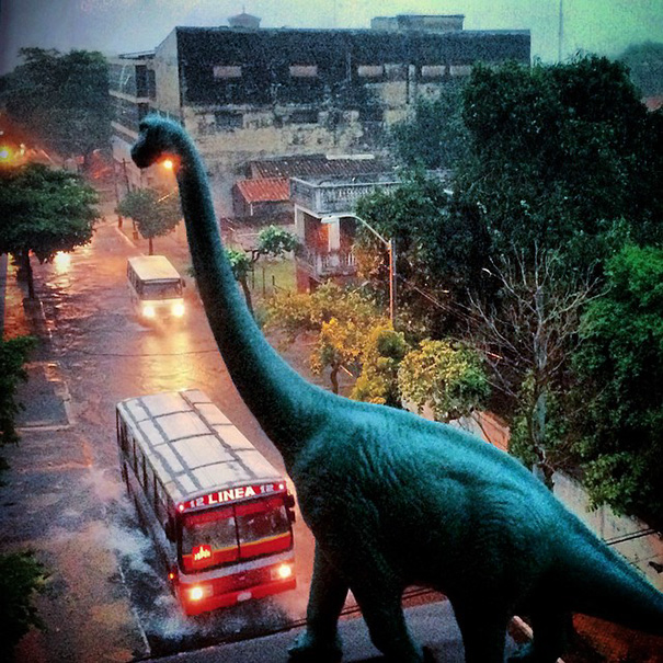 dinodinaseries (2)