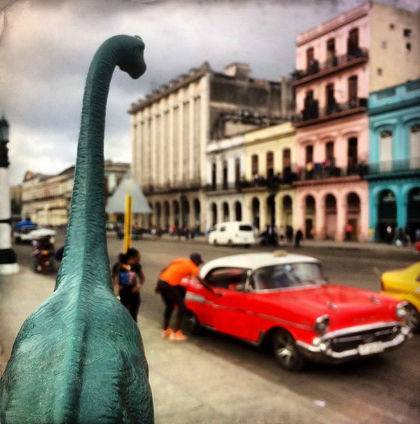 dinodinaseries (5)