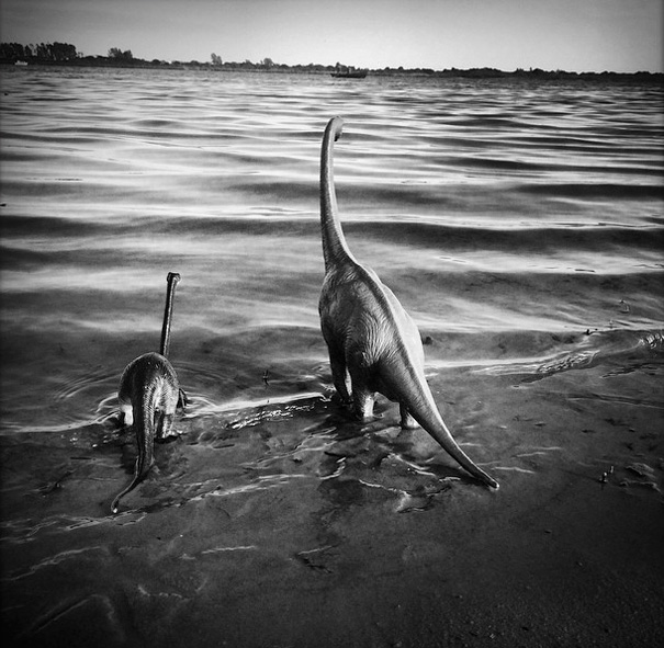 dinodinaseries (8)