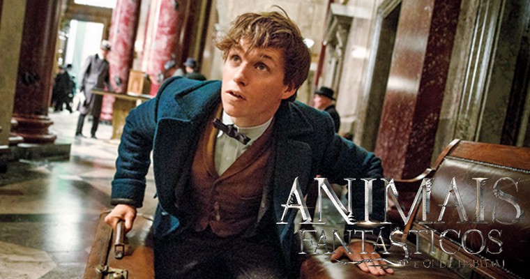 Animais Fantásticos e Onde Habitam | Filme do universo Harry Potter ganha trailer