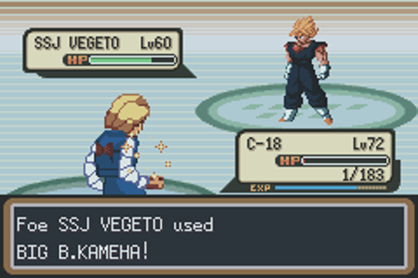 poké dbz (13)