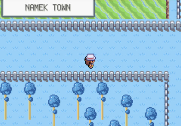 poké dbz (15)