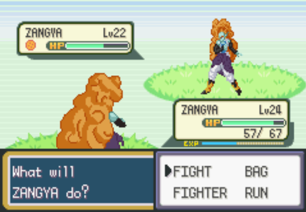 poké dbz (8)