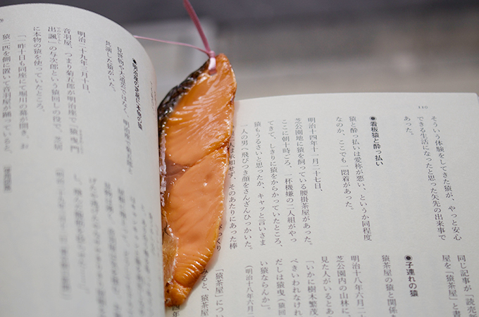 bookmarks (5)