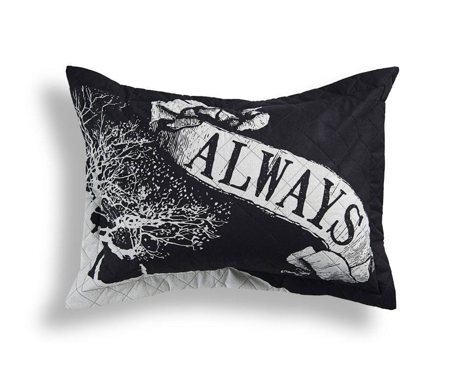 riachuelo-harry-potter-16