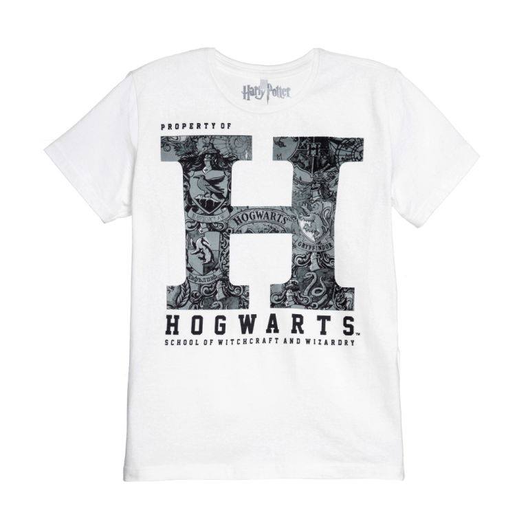 riachuelo-harry-potter-31