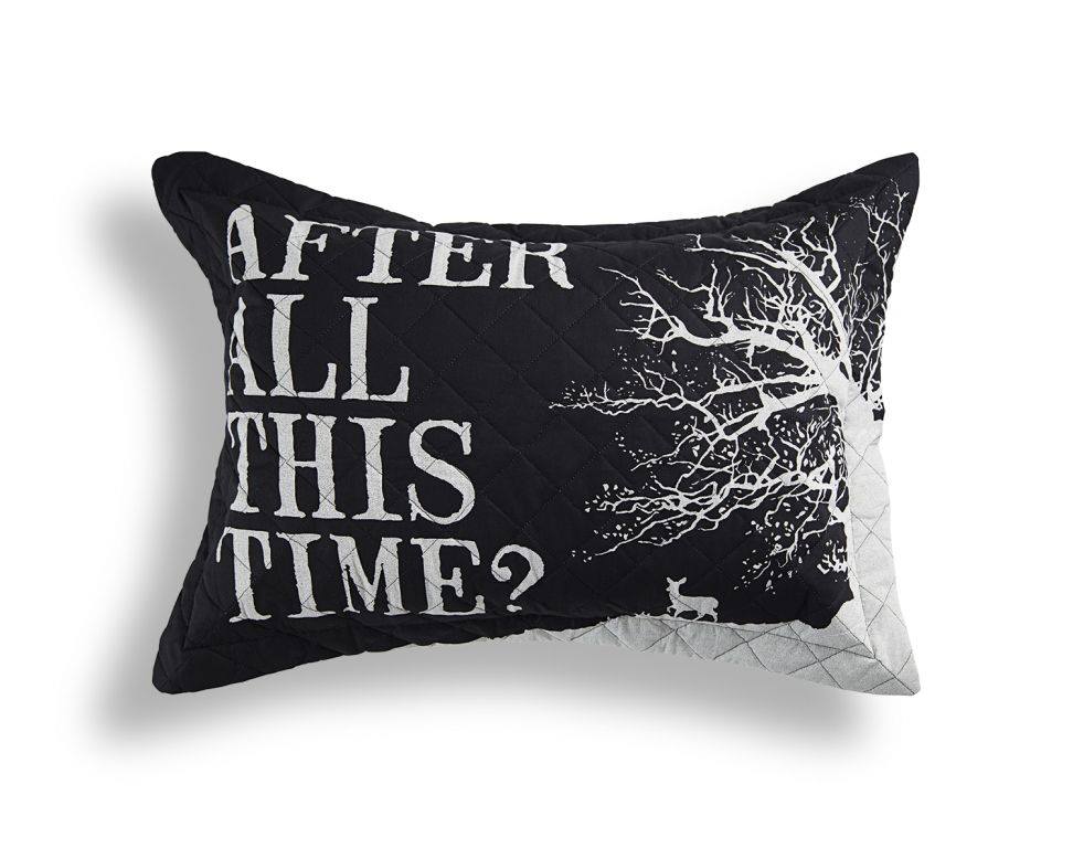 riachuelo-harry-potter-41